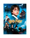 HARRY POTTER - Impression en Verre - Philosopher's Stone - 30X40 Cm - vue principale