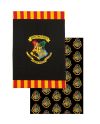 HARRY POTTER - Poudlard - Pack de 2 torchons / essuies - vue principale