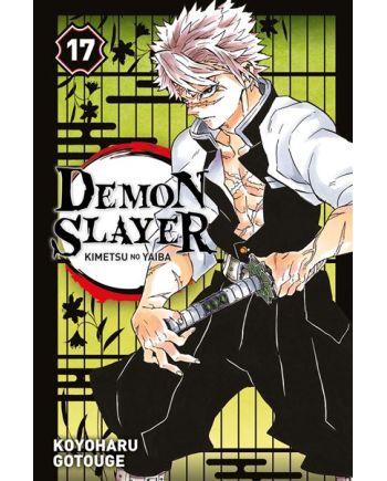 DEMON SLAYER - Tome 17 - vue principale