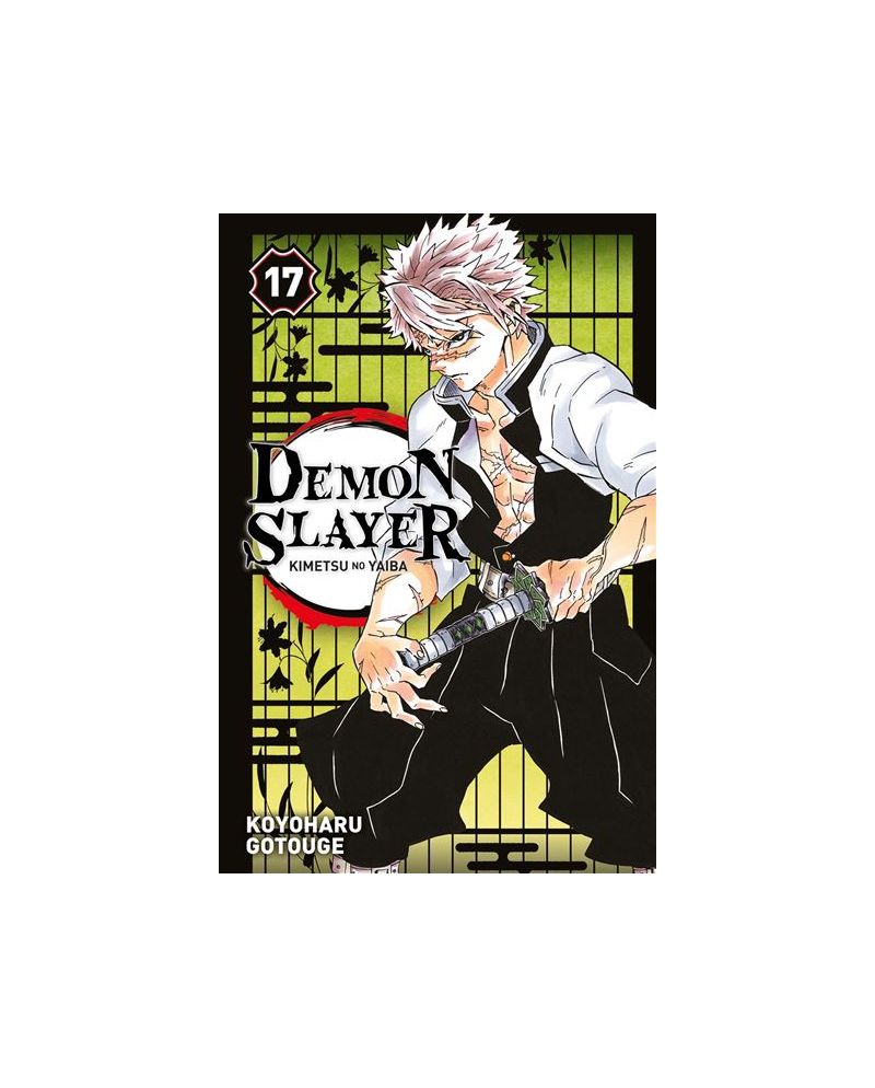 DEMON SLAYER - Tome 17 - vue principale