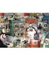 DISNEY - Puzzle Villainous 1000P - Pat Hibulaire - vue de face