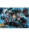 HARRY POTTER - Le Monde de Harry Potter - Puzzle 1000P - vue de face