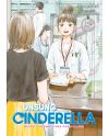 UNSUNG CINDERELLA - Tome 5 - vue principale