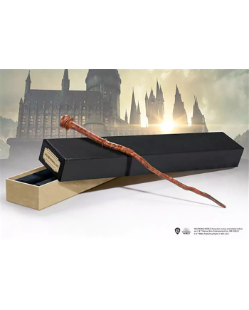 LES ANIMAUX FANTASTIQUES - Jacob Kowalski - Baguette Ollivander - vue principale