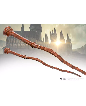 LES ANIMAUX FANTASTIQUES - Jacob Kowalski - Baguette Ollivander - vue de face