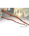 LES ANIMAUX FANTASTIQUES - Jacob Kowalski - Baguette Ollivander - vue de face
