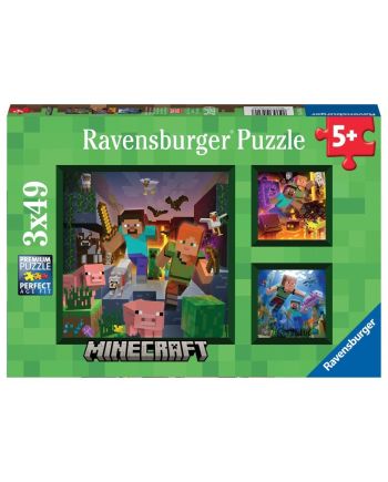 MINECRAFT - Biomes - 3 Puzzle 49P - vue principale