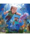 MINECRAFT - Biomes - 3 Puzzle 49P - vue de dos