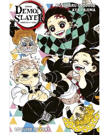 DEMON SLAYER - Le Guide du Vent (Roman T3) - vue principale