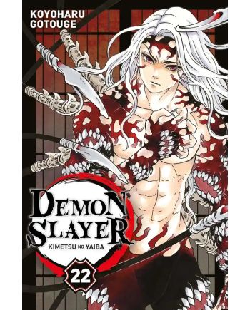 DEMON SLAYER - Tome 22 - vue principale