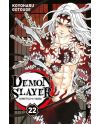 DEMON SLAYER - Tome 22 - vue principale