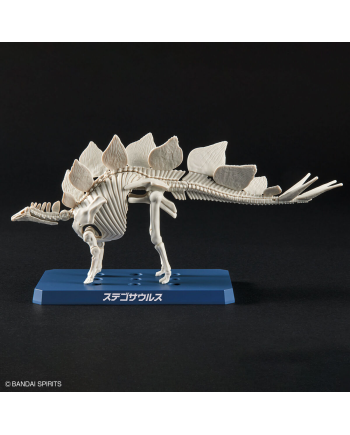 DINOSAUR - New Dinosaur Plastic Stegosaurus (Tentative) - Model Kit - vue de detail