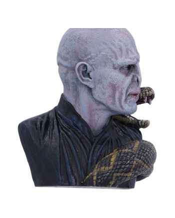 HARRY POTTER - Lord Voldemort - Décoration de Sapin 8.5cm - vue du packaging