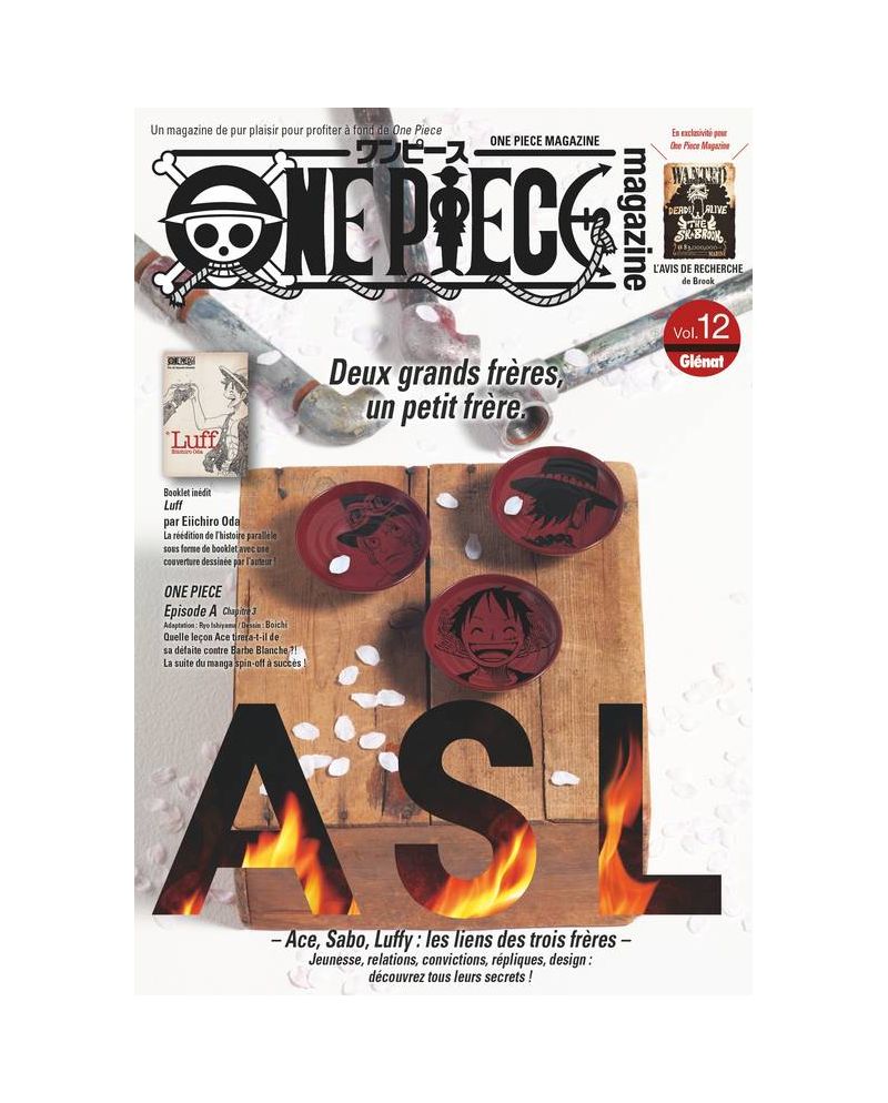 ONE PIECE MAGAZINE - TOME 12 - vue principale