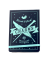 HARRY POTTER - Charms - Carnet de Poche - vue principale