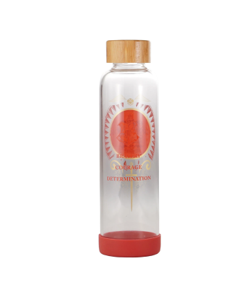 HARRY POTTER - Fier Gryffondor - Bouteille d'eau en Verre 500ml - vue de face