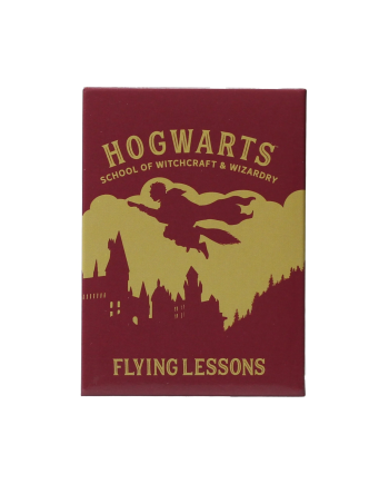 HARRY POTTER - Flying Lessons - Magnet - vue principale
