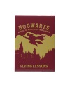HARRY POTTER - Flying Lessons - Magnet - vue principale