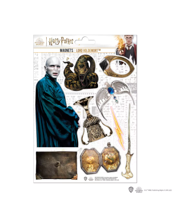 HARRY POTTER - Voldemort - Planche de 9 magnets en mousse - vue principale