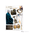 HARRY POTTER - Voldemort - Planche de 9 magnets en mousse - vue principale
