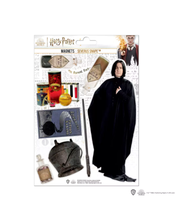 HARRY POTTER - Severus Rogue - Planche de 8 magnets en mousse - vue principale
