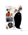 HARRY POTTER - Severus Rogue - Planche de 8 magnets en mousse - vue principale