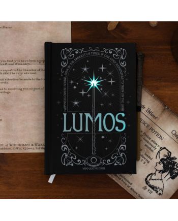 HARRY POTTER - Lomus - Notebook Premium Lumineux + Stylo Baguette - vue principale