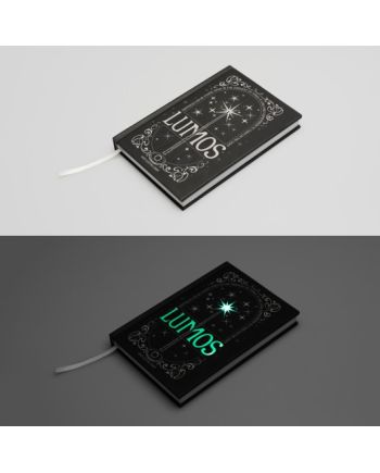 HARRY POTTER - Lomus - Notebook Premium Lumineux + Stylo Baguette - vue de face