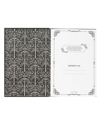 HARRY POTTER - Lomus - Notebook Premium Lumineux + Stylo Baguette - vue du packaging