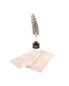 HARRY POTTER - Set de Calligraphie - Lettres + Plume + Encre - vue principale