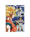 DRAGON BALL Z -Puzzle à Collectionner - 5 Etoiles - 2en1 Puzzle +Extra - vue de profil