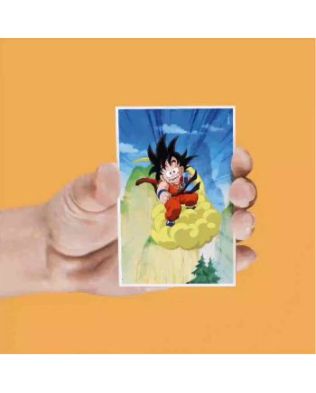 DRAGON BALL - Personnages - Set de 4 Magnet Lenticulaire - vue de face