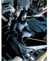 DC - Poster en Verre - Batman Watcher - 40X30x3cm - vue principale