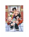 DRAGON BALL - Tournoi - Magnet "10x15x1cm" - vue principale