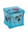 DONJONS ET DRAGONS - Cube Gélatineux - Boîte à dés 11cm - vue principale
