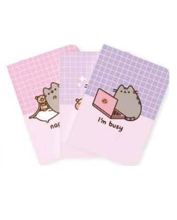PUSHEEN - Pack de 3 Notebooks - Format A5 - vue principale