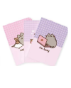 PUSHEEN - Pack de 3 Notebooks - Format A5 - vue principale