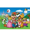 NINTENDO - Super Mario Fun - Puzzle 100P XXL - vue de face