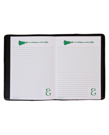 WICKED - Elphaba Diary - Journal LoungeFly - vue de profil