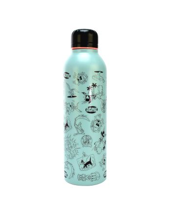 LOONEY TOONS - Bouteille en Acier Inoxydable 750ml - vue principale