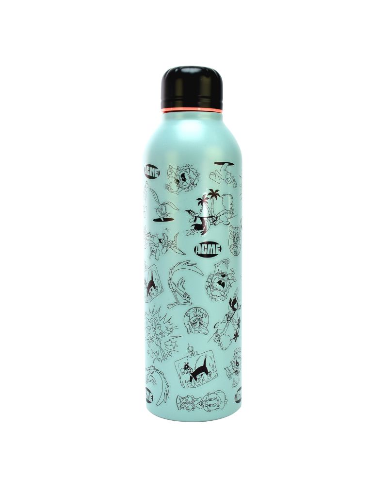 LOONEY TOONS - Bouteille en Acier Inoxydable 750ml - vue principale