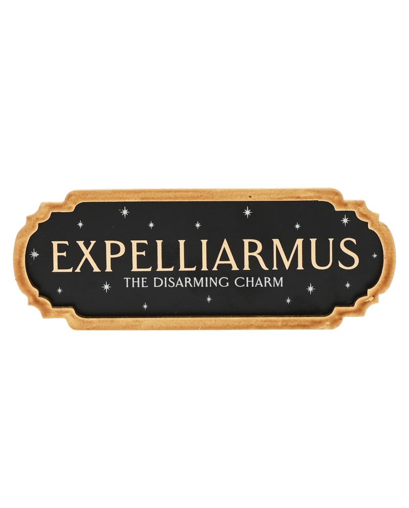 HARRY POTTER - Expelliarmus - Décoration Murale - vue principale