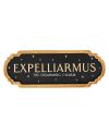 HARRY POTTER - Expelliarmus - Décoration Murale - vue principale