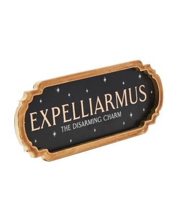 HARRY POTTER - Expelliarmus - Décoration Murale - vue de face