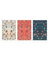 FRIDA KAHLO - Pack de 3 Notebooks - Format A5 - vue de profil