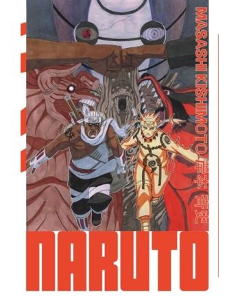 NARUTO - Edition Hokage - Tome 29 - vue principale