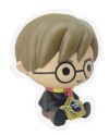 HARRY POTTER - Harry Potter - Tirelire PVC 16cm - vue principale