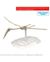 PLANNOSAURUS JURASSIC WORLD - Quetzalcoatlus - Model Kit - vue de face