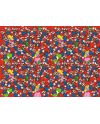 SUPER MARIO - Puzzle Challenge 1000P - vue de face