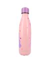 BISOUNOURS - Thirsty For More - Bouteille en Acier Inoxydable 700ml - vue de detail